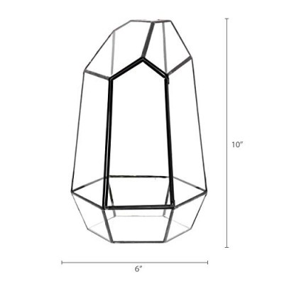 Barnyard Designs Watertight Glass Terrarium Succulent Plant Container Geometric Irregular Prism Shape Tabletop Decor 6" x 10" (Black)   
